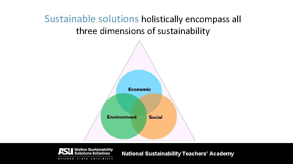 Sustainable solutions holistically encompass all three dimensions of sustainability National Sustainability Teachers’ Academy 