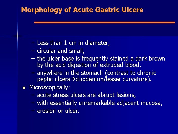 Morphology of Acute Gastric Ulcers n – Less than 1 cm in diameter, –