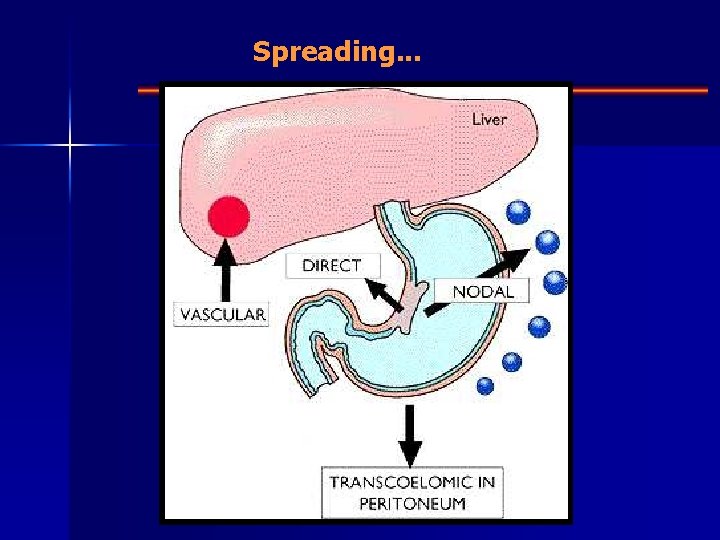 Spreading. . . 