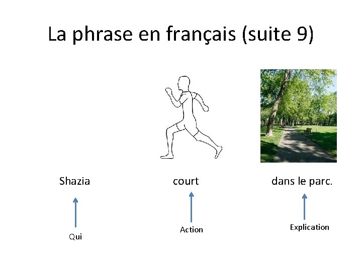 La phrase en français (suite 9) Shazia Qui court Action dans le parc. Explication