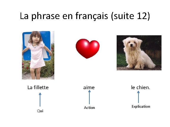 La phrase en français (suite 12) La fillette Qui aime le chien. Action Explication