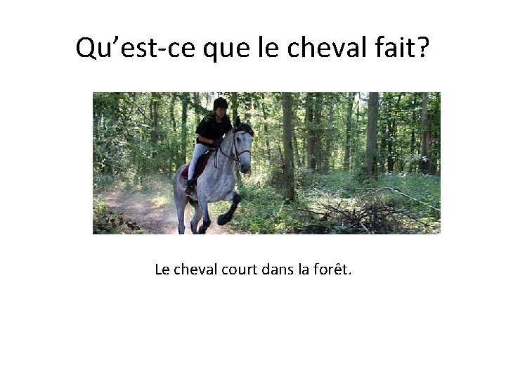 Qu’est-ce que le cheval fait? Le cheval court dans la forêt. 