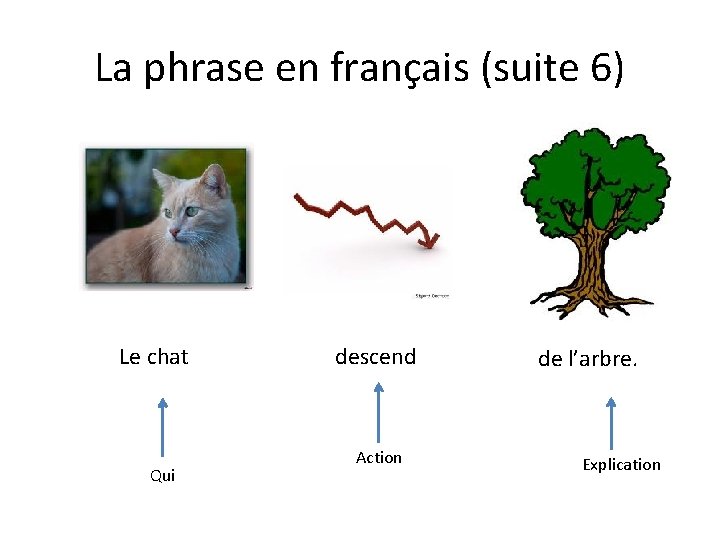 La phrase en français (suite 6) Le chat Qui descend Action de l’arbre. Explication
