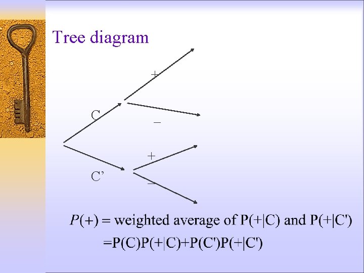 Tree diagram + C C’ _ + _ 