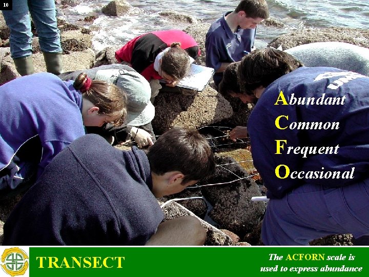 10 Abundant Common Frequent Occasional TRANSECT The ACFORN scale is used to express abundance