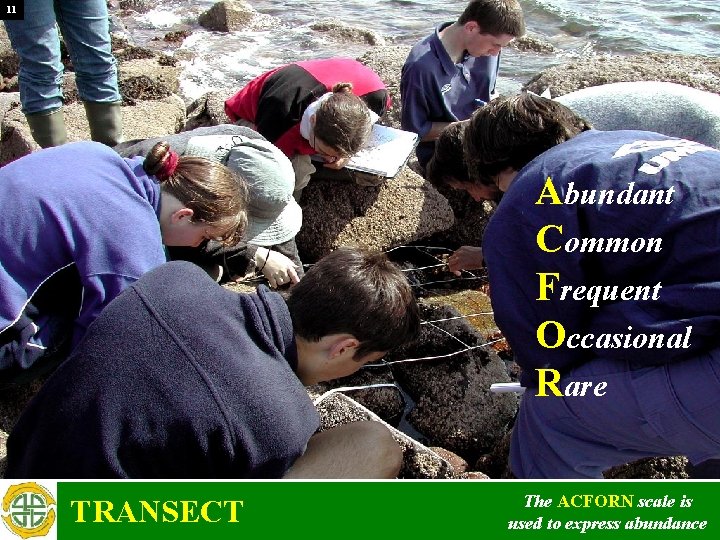 11 Abundant Common Frequent Occasional Rare TRANSECT The ACFORN scale is used to express