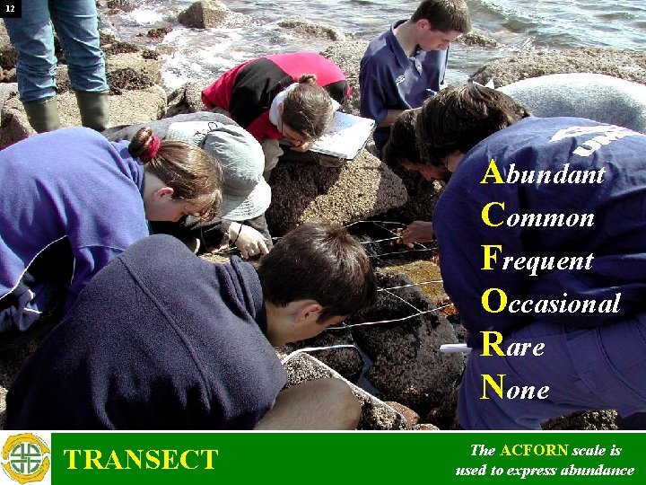 12 Abundant Common Frequent Occasional Rare None TRANSECT The ACFORN scale is used to