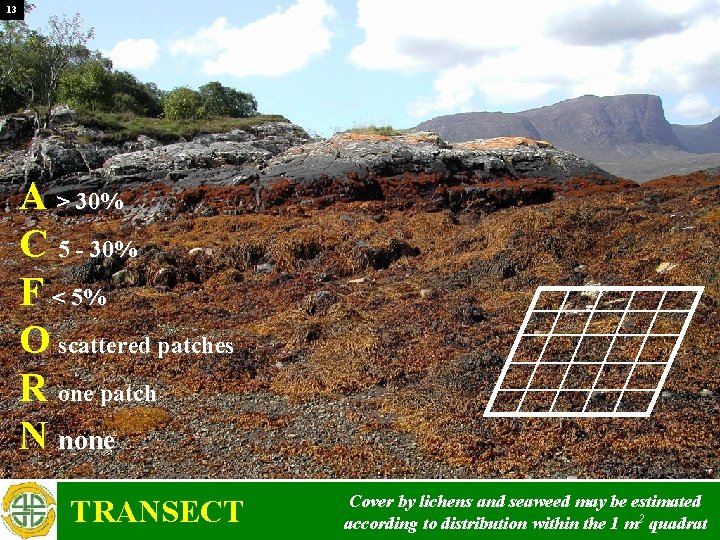 13 A > 30% C 5 - 30% F < 5% O scattered patches