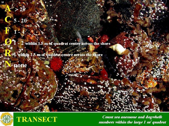 15 A > 20 C 5 - 20 F 1 -4 O 1 -