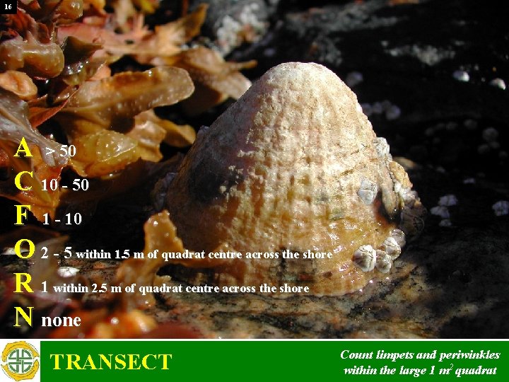 16 A > 50 C 10 - 50 F 1 - 10 O 2