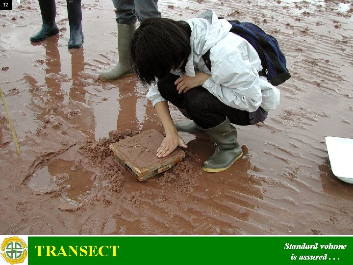 22 TRANSECT Standard volume is assured. . . 