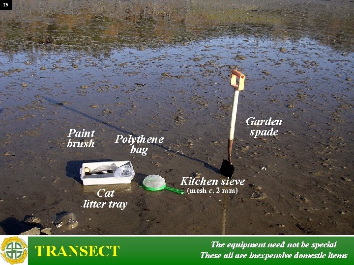 25 Paint brush Garden spade Polythene bag Cat litter tray TRANSECT Kitchen sieve (mesh