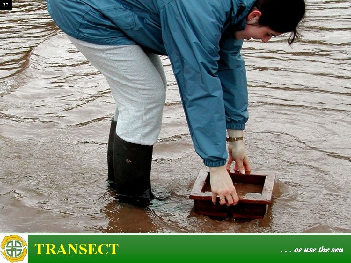 27 TRANSECT . . . or use the sea 