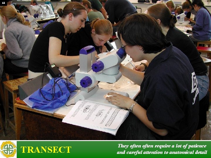 44 TRANSECT They often require a lot of patience and careful attention to anatomical