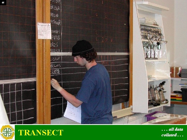 46 TRANSECT . . . all data collated. . . 