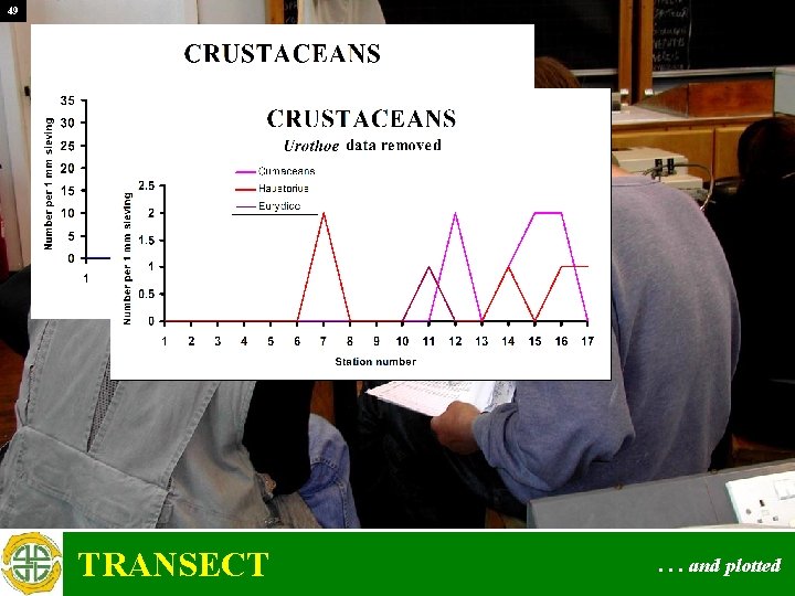 49 TRANSECT . . . and plotted 