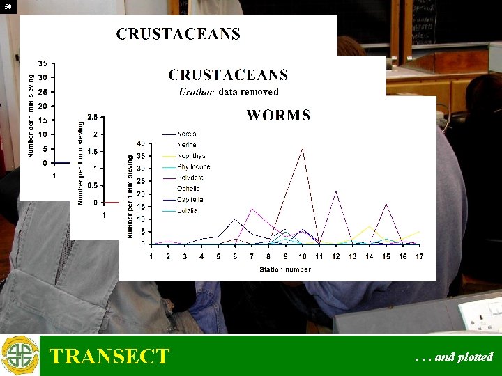 50 TRANSECT . . . and plotted 