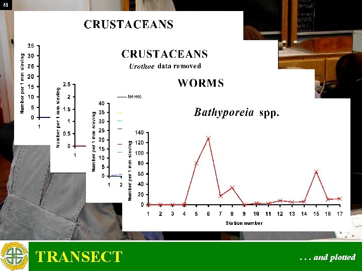 51 TRANSECT . . . and plotted 