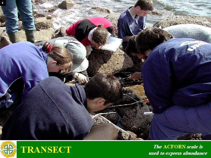 6 TRANSECT The ACFORN scale is used to express abundance 