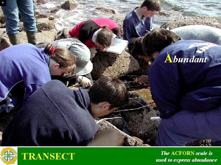 7 Abundant TRANSECT The ACFORN scale is used to express abundance 