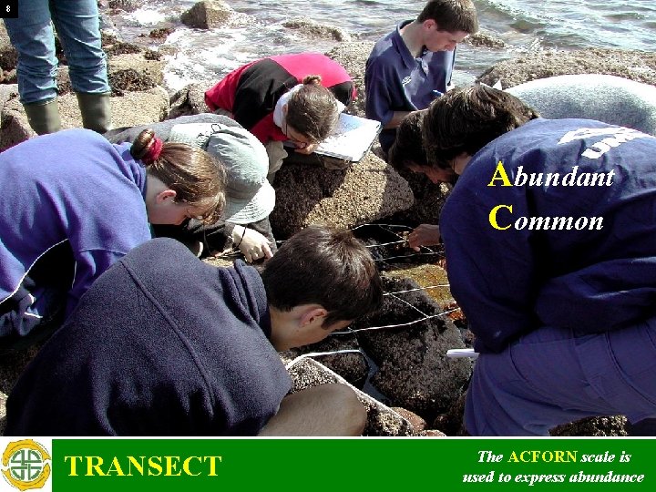 8 Abundant Common TRANSECT The ACFORN scale is used to express abundance 