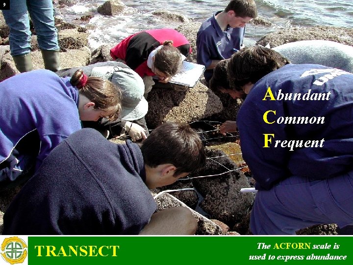 9 Abundant Common Frequent TRANSECT The ACFORN scale is used to express abundance 