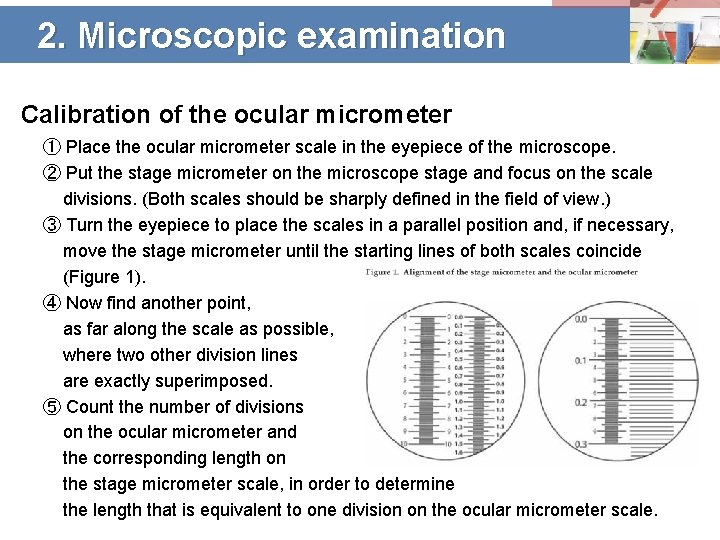 2. Microscopic examination Calibration of the ocular micrometer ① Place the ocular micrometer scale
