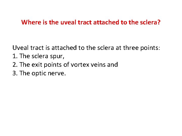 Where is the uveal tract attached to the sclera? Uveal tract is attached to