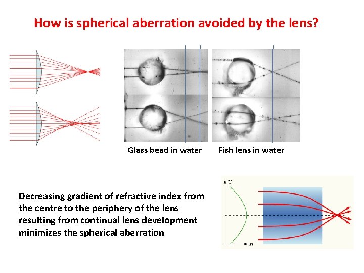 How is spherical aberration avoided by the lens? Glass bead in water Decreasing gradient