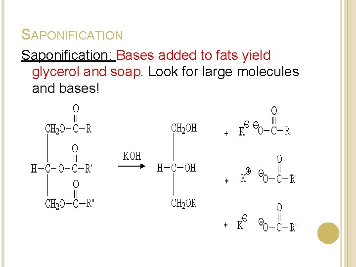 SAPONIFICATION Saponification: Bases added to fats yield glycerol and soap. Look for large molecules SAPONIFICATION Saponification: Bases added to fats yield glycerol and soap. Look for large molecules