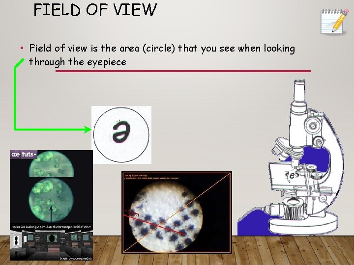 FIELD OF VIEW • Field of view is the area (circle) that you see