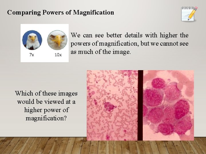Comparing Powers of Magnification We can see better details with higher the powers of