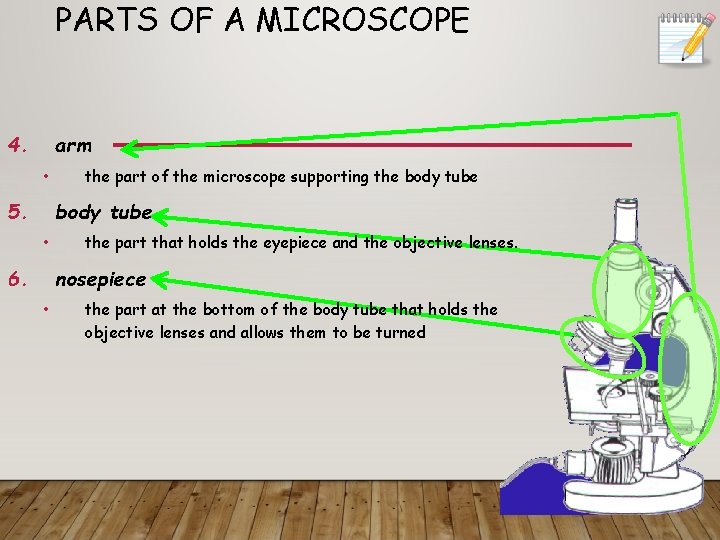 PARTS OF A MICROSCOPE 4. arm • 5. the part of the microscope supporting