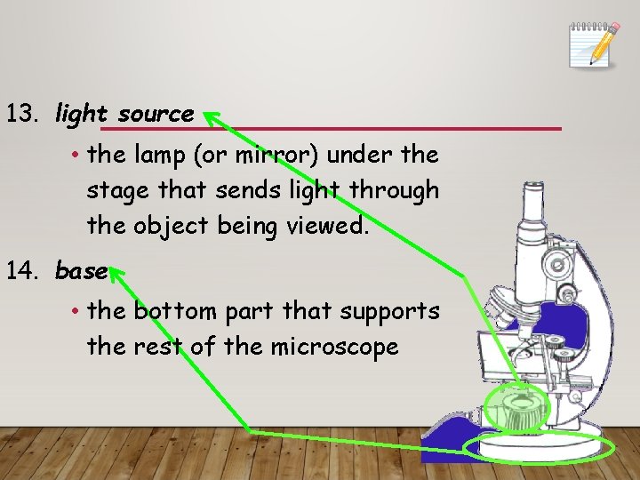 13. light source • the lamp (or mirror) under the stage that sends light