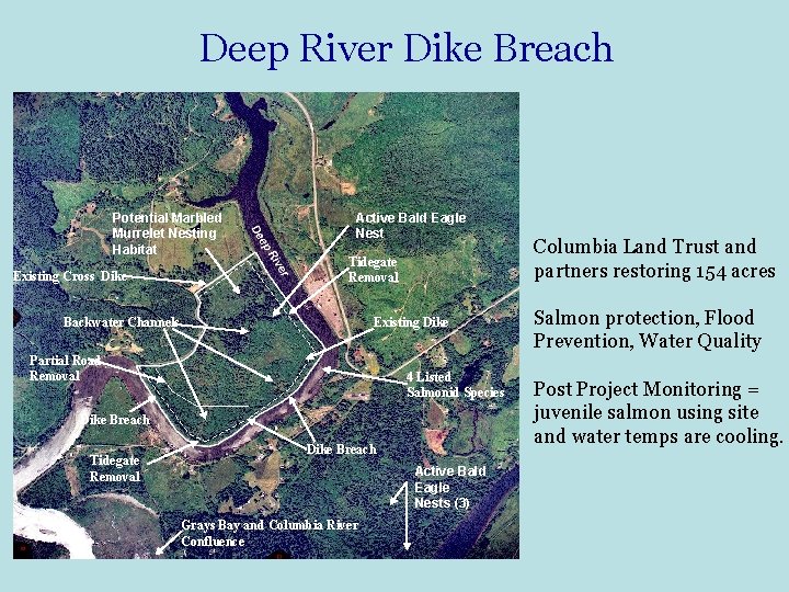 Deep River Dike Breach Potential Marbled Murrelet Nesting Habitat Existing Cross Dike Active Bald