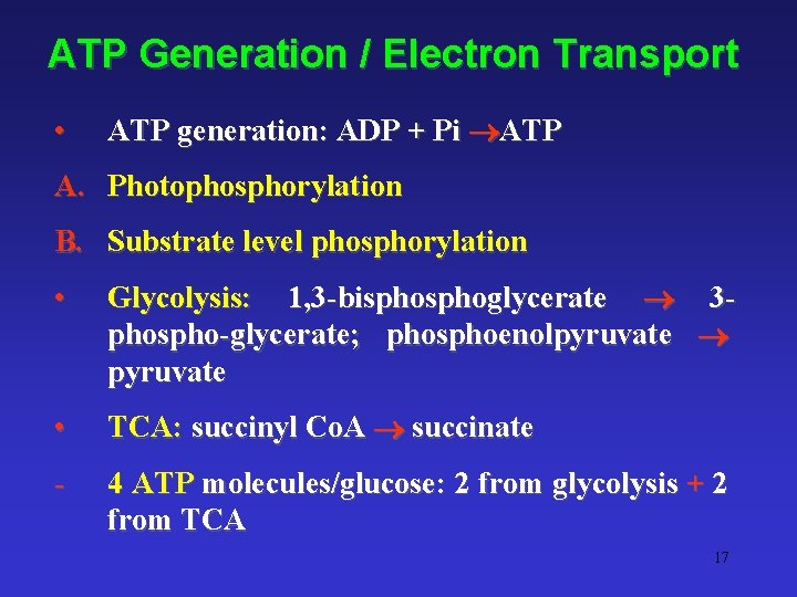 ATP Generation / Electron Transport • ATP generation: ADP + Pi ATP A. Photophosphorylation