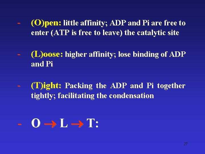 - (O)pen: little affinity; ADP and Pi are free to enter (ATP is free