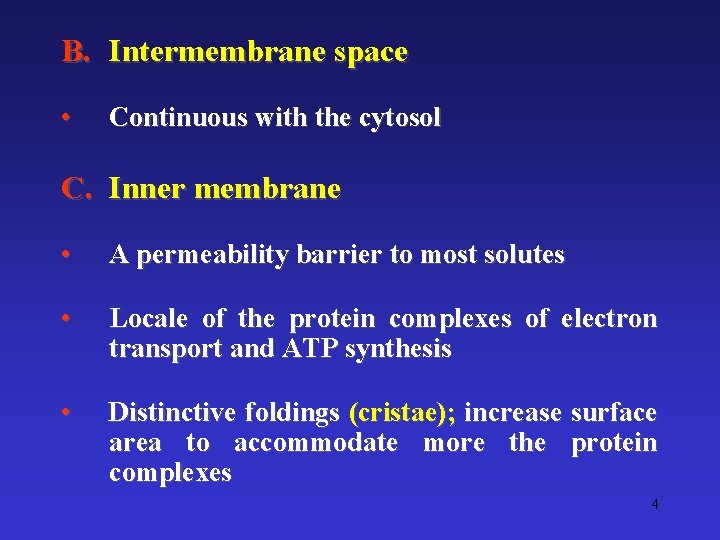 B. Intermembrane space • Continuous with the cytosol C. Inner membrane • A permeability