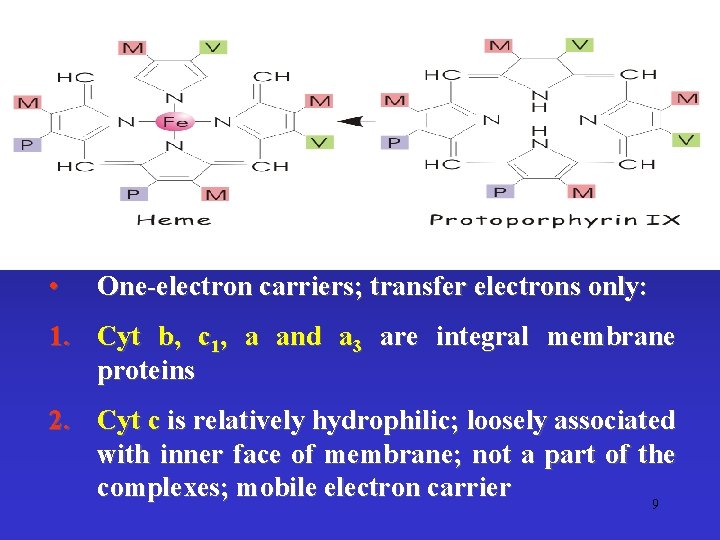  • One-electron carriers; transfer electrons only: 1. Cyt b, c 1, a and