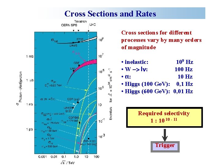 Cross Sections and Rates Cross sections for different processes vary by many orders of