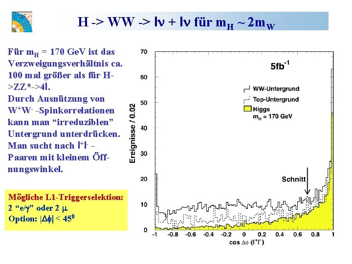 H -> WW -> ln + ln für m. H ~ 2 m. W