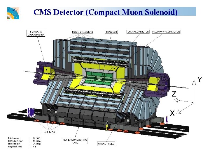 CMS Detector (Compact Muon Solenoid) 