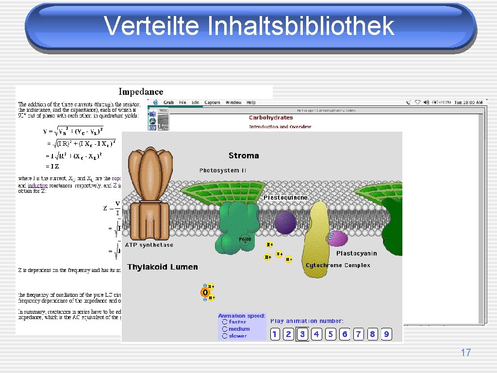 Verteilte Inhaltsbibliothek 17 