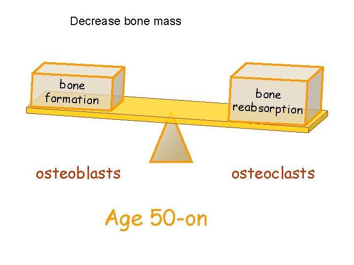 Decrease bone mass bone formation bone reabsorption osteoblasts Age 50 -on osteoclasts 