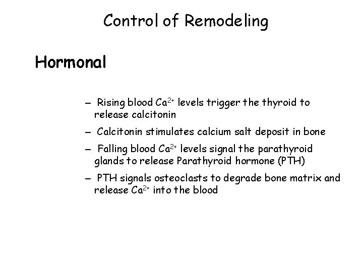 Control of Remodeling Hormonal – Rising blood Ca 2+ levels trigger the thyroid to