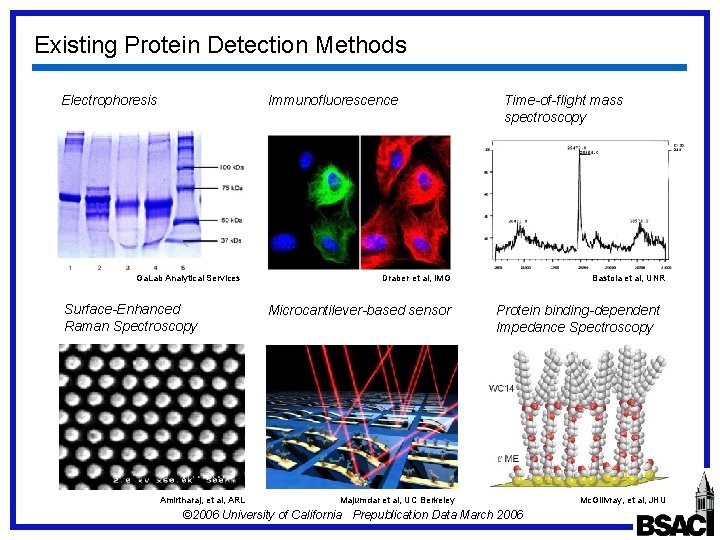 MicroNano Electrode for Electrophysiological Measurement of Biological ...
