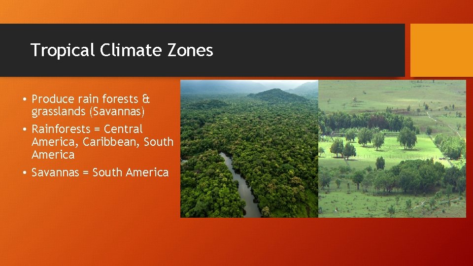 Tropical Climate Zones • Produce rain forests & grasslands (Savannas) • Rainforests = Central