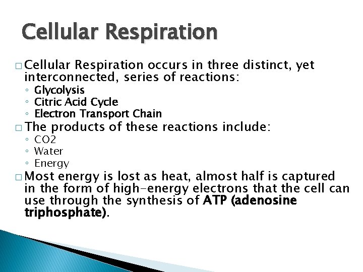 Cellular Respiration � Cellular Respiration occurs in three distinct, yet interconnected, series of reactions: