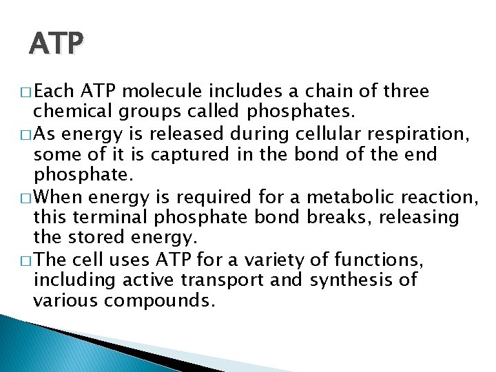 ATP � Each ATP molecule includes a chain of three chemical groups called phosphates.