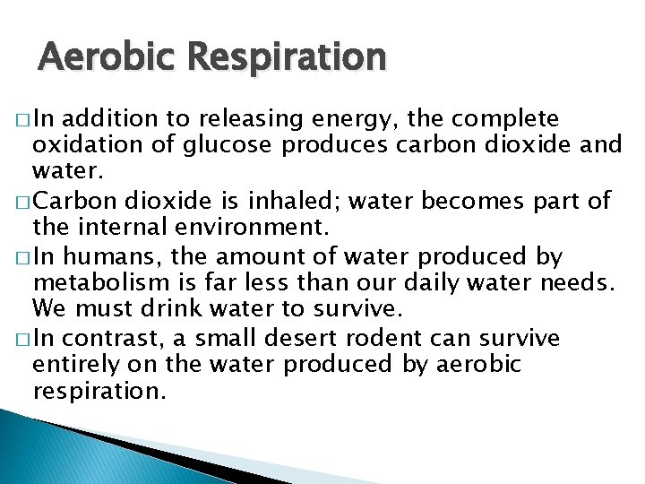 Aerobic Respiration � In addition to releasing energy, the complete oxidation of glucose produces